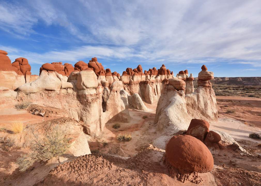 #23. Hopi